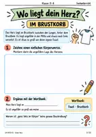 Vorschau - Stundenentwürfe - Herz, Blutkreislauf & Puls – Forscherheft für Klasse 3–4 mit Lösungen - Seite 2