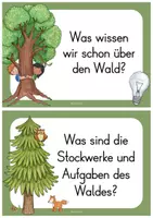 Vorschau - Poster - Wald Reihentransparenz - Seite 3