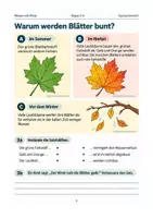 Vorschau - Arbeitsblätter - Der Herbst beginnt – Jahreszeiten verstehen | Klasse: 3 – 4 - Seite 3