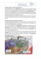 Vorschau - Arbeitsblätter - Aufbau der Zelle: Zellbestandteile und Kompartimentierung | Arbeitsblatt mit Lösung | Berufliches Gymnasium - Seite 2