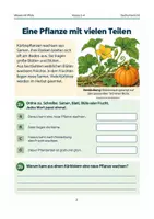 Vorschau - Arbeitsblätter - Materialpaket: Herbst im Sachunterricht | Mini-Bundle | 5 Arbeitshefte - Seite 2