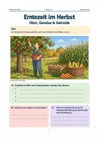 Vorschau - Arbeitsblätter - Erntezeit im Herbst – Obst, Gemüse & Getreide - Seite 1