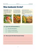 Vorschau - Arbeitsblätter - Erntezeit im Herbst – Obst, Gemüse & Getreide - Seite 2