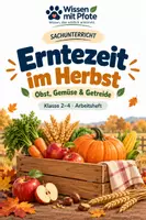 Vorschau - Arbeitsblätter - Erntezeit im Herbst – Obst, Gemüse & Getreide - Deckblatt