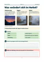 Vorschau - Arbeitsblätter - Sicher durch Herbst und Dämmerung | Klasse 2–4 - Seite 2