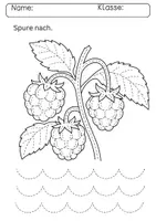 Vorschau - Arbeitsblätter - Graphomotorik / Schwungübung / Nachspuren / Schulgarten / Garten / KITA / Anfangsunterricht - Seite 3
