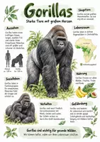 Vorschau - Arbeitsblätter - Lernplakat + Arbeitsblätter zum Thema "Gorillas" + Lösung & MP3 + Mindmap + Infografik - Deckblatt