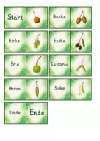 Vorschau - Spiele - Domino Laubbäume - 3 Versionen - Seite 2