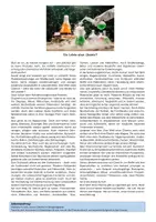 Vorschau - Arbeitsblätter - Einführung in die Chemie - Seite 1