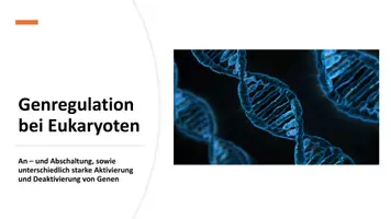 Vorschau - Stundenentwürfe - Genregulation bei Eukaryoten - Myostatin - Seite 2