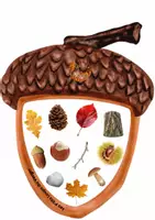 Aperçu - Jeux - Cherche et trouve les éléments de la nature en automne - Page 1