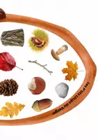 Aperçu - Jeux - Cherche et trouve les éléments de la nature en automne - Page 3