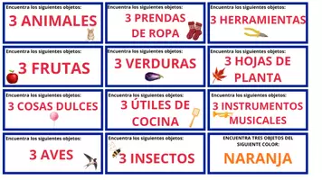 Vista previa - Otros - ENCUENTRA LOS OBJETOS | Atención y percepción visual - página 2