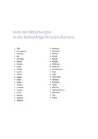 Vorschau - Stundenentwürfe - Zootiere DaZ - Seite 2