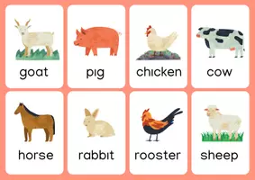 Προεπισκόπηση - Flashcards - Farm Animal Flashcards - Εξώφυλλο