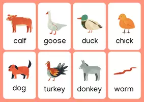 Προεπισκόπηση - Flashcards - Farm Animal Flashcards - Σελίδα 1