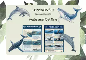 Vorschau - Mal- und Bastelvorlagen - HSU - Lernposter "Wale & Delfine" - Deckblatt