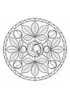 Vorschau - Arbeitsblätter - Herbstmandalas für Klasse 3 Ausmalbilder - Seite 3
