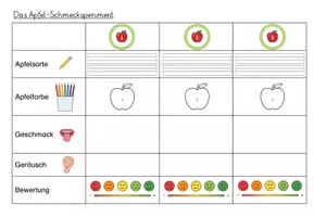 Vorschau - Stationenlernen - Apfel_Schmecksperiment_Kl. 1-2 - Seite 2