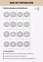 Vorschau - Mal- und Bastelvorlagen - Herbstmandalas Klasse 1-2 mit Waldtieren | 16 Herbst Ausmalbilder & Ausmalvorlagen für Kita, Vorschule & Grundschule - Seite 2