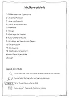 Vorschau - Unterrichtsreihen - Die Urgeschichte – Steinzeit, Bronzezeit & Eisenzeit | Komplettes Unterrichtsmaterial mit Arbeitsheft, Forscheraufträgen, Wissens-Check & Lösungen | Sachunterricht Klasse 4/5 - Seite 1