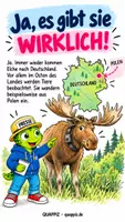 Vorschau - Präsentationen/Tafelbilder - Leben in Deutschland wilde Elche? - Seite 2