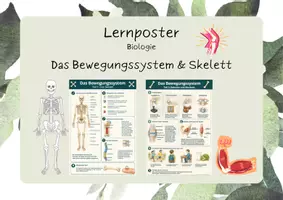 Vorschau - Mal- und Bastelvorlagen - Biologie - Skelett & Bewegungssystem - Lernposter - Deckblatt