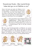 Vorschau - Arbeitsblätter - Erdmännchenklasse Klassentier Erdmännchen XXL Materialpaket Schulanfang - Seite 3