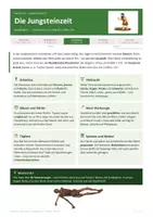 Vorschau - Arbeitsblätter - Infotext Jungsteinzeit Österreich Bezug - Deckblatt