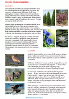 anteprima - Materiale di supporto/inclusione - Viaggio Attorno All’Italia Lombardia - Pagina 3