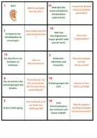 Vorschau - Spiele - Gehör | Quiz | Rätsel | Spiel | Unterrichtsmaterial | Biologie | Klasse 5-8 | mit Lösungen - Seite 3