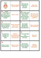 Vorschau - Spiele - Haut | Unterrichtsmaterial | Quiz | Rätsel | Spiel | Biologie | Klasse 5-8 | mit Lösungen - Seite 3