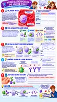 Vorschau - Unterrichtsreihen - 🩸 Biologie (Bio): Blut & Blutgruppen | Klasse 7/8 🔬 Unterrichtsreihe mit 5 Arbeitsblättern + Lösungen + Einstieg & Reflexion + Video + 180-Min.-Unterrichtsplanung - Seite 3