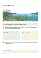Vorschau - Arbeitsblätter - Materialpaket Ökosysteme entdecken – Wiese & See – Medium Bundle - Seite 1