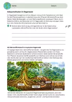 Vorschau - Arbeitsblätter - Portfolio - Anbaumethoden im Regenwald verstehen - Deckblatt