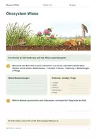 Vorschau - Arbeitsblätter - Materialpaket Wiesenwelten entdecken – Mini Bundle - Seite 1