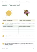 Vorschau - Arbeitsblätter - Materialpaket Wiesenwelten entdecken – Mini Bundle - Seite 2