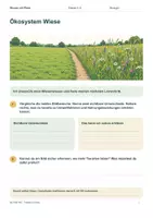 Vorschau - Arbeitsblätter - Arbeitsheft: Ökosystem Wiese – Beziehungen im Lebensraum – Transfer - Seite 1