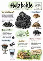 Vorschau - Arbeitsblätter - Lernplakat + Arbeitsblätter zum Thema "Holzkohle" + Lösung & MP3 + Infografik - Deckblatt
