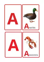anteprima - Flashcard - Alfabetiere_animali_formato_JPG - Pagina 1