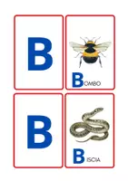 anteprima - Flashcard - Alfabetiere_animali_formato_JPG - Pagina 2
