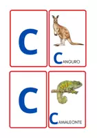 anteprima - Flashcard - Alfabetiere_animali_formato_JPG - Pagina 3