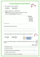 Vorschau - Arbeitsblätter - Lehrprobe - Sinne des Regenwurms - Deckblatt