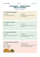 Vorschau - Arbeitsblätter - Kostenlos: Bäume & Blätter kompakter Wissenscheck zu Laub- und Nadelbäumen - Seite 2