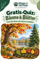 Vorschau - Arbeitsblätter - Kostenlos: Bäume & Blätter kompakter Wissenscheck zu Laub- und Nadelbäumen - Deckblatt