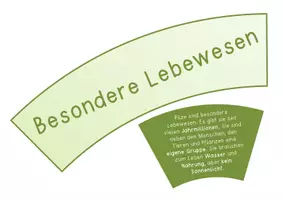 Vorschau - Anderer Materialtyp - Pilze Legekreis für die 3. und 4. Klasse - Seite 3