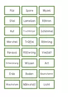 Vorschau - Anderer Materialtyp - Pilze Wortkärtchen mit individueller Auftragskarte - Seite 1