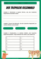Vorschau - Arbeitsblätter - Vegetationszonen - Materialpaket mit Lernkarten & Übungen zu Wüste, Regenwald, Polarer Zone und Klimadiagrammen - Erdkunde Klasse 6-8 - Seite 2