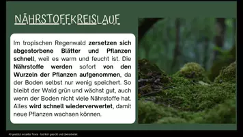 Vorschau - Merkblätter - Tropischer Regenwald - 14 Lernkarten zu den Tropen - Erdkunde Klasse 7/8 - Seite 3