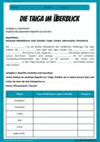 Vorschau - Arbeitsblätter - Taiga - 6 Arbeitsblätter mit Lösungen zur Vegetationszone - Erdkunde Klasse 6/7 - Seite 1